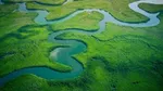 An aerial view of a green forest landscape with winding rivers.