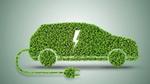 The shape of a car made out of plants