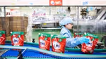 A lady wearing unilever uniform in a factory manning a line producing OMO laundry detergent