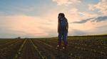 A woman walks through a field of growing seedlings. She reaches down to inspect them.