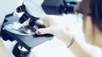 close up of a lady looking through a microscope at a sample in a petri dish