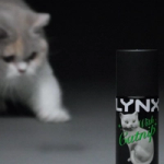 A can of Lynx Cat Nip deodorant stands in the foreground on a dark surface, while a cat in the background reaches a paw forward toward it.