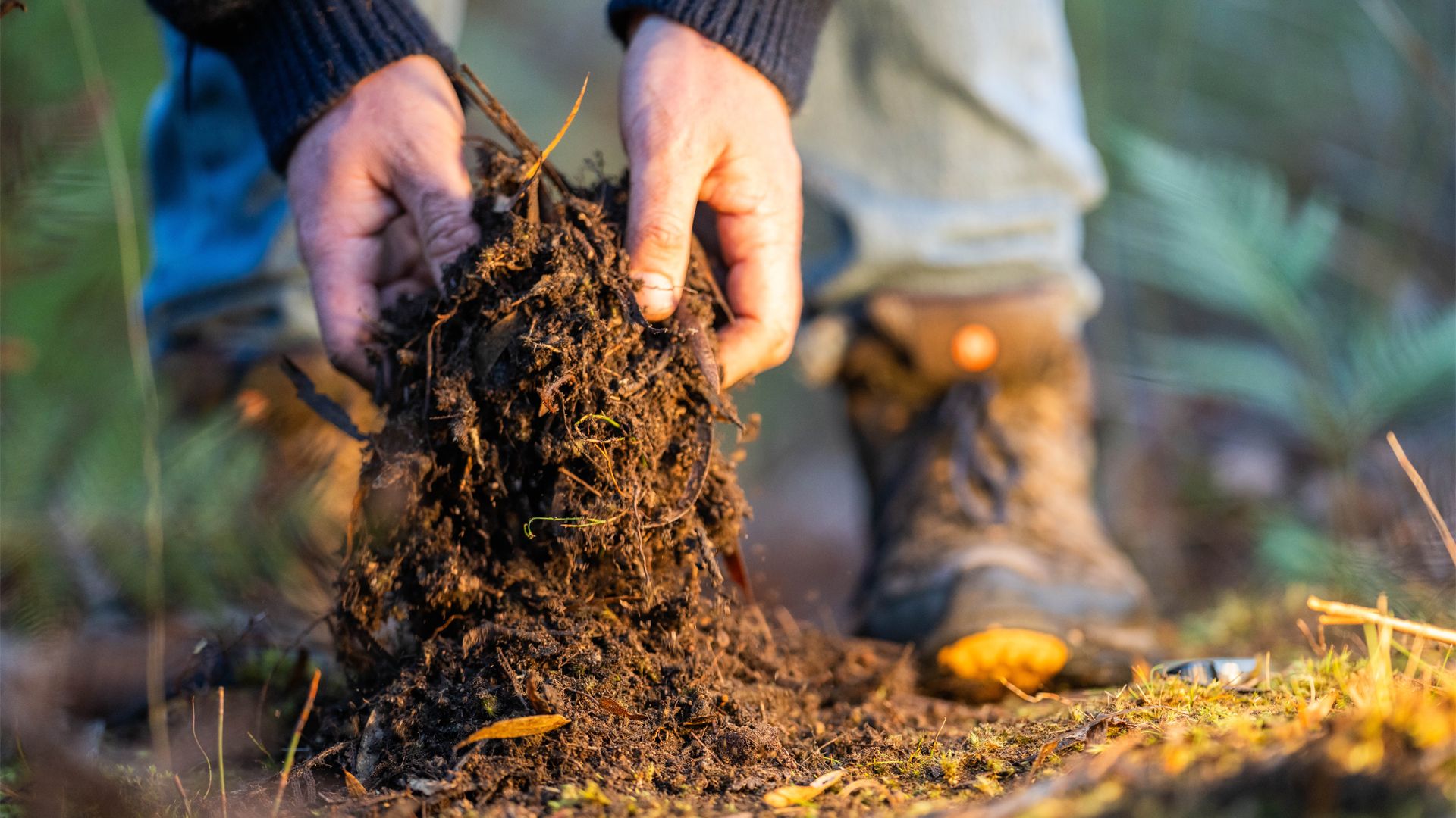 Person in a blue sweater and jeans, holding a clump of soil in both hands. The focus is on the hands and soil, with a blurred green background and sunlight filtering through.