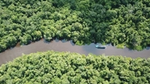 Boat on river moving through tropical forest.