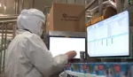 Factory worker wearing protective equipment conducting quality checks on Cornetto ice creams