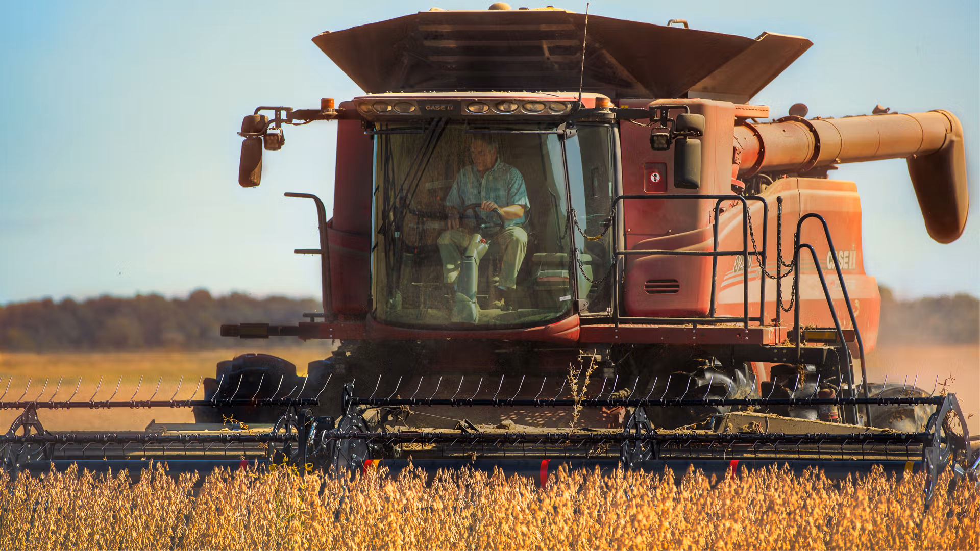 A farmer operating a red combine harvester in a field of golden crops under a clear blue sky.
