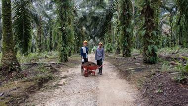A photograph of two smallholder farmers standing either side of a red wheelbarrow filled with soil, on a dirt road surrounded by palm trees.