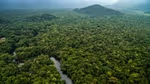 An aerial view of a dense green forest with a winding river cutting through the landscape, surrounded by lush vegetation and rolling hills.