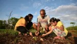 Man and two young women planting sapling plants in a field