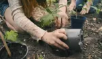 Two children planting flowers